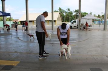 Foto - CAMPANHA DE CASTRAÇÃO 2024