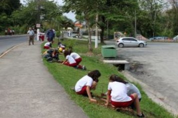 Foto - Dia da Árvore