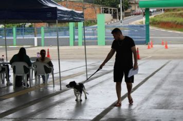 Foto - CAMPANHA DE CASTRAÇÃO 2024