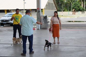 Foto - CAMPANHA DE CASTRAÇÃO 2024