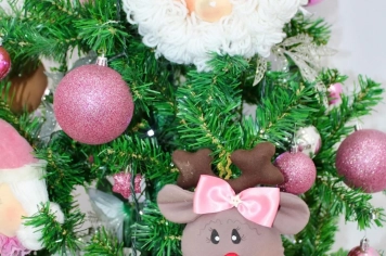 Foto - Formatura do Fundo Social 