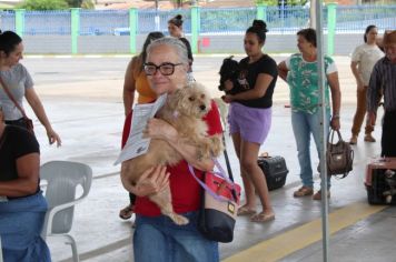 Foto - CAMPANHA DE CASTRAÇÃO 2024