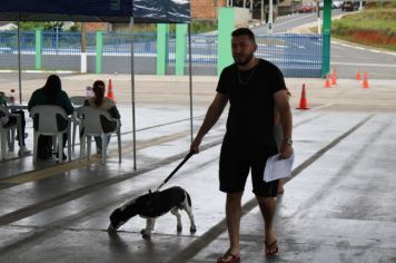 Foto - CAMPANHA DE CASTRAÇÃO 2024