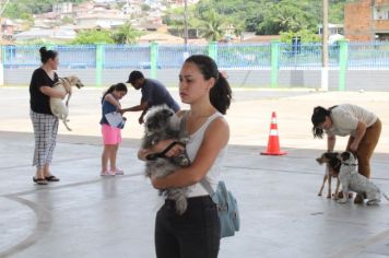 Foto - CAMPANHA DE CASTRAÇÃO 2024