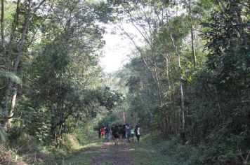 Foto - De Férias no Parque no Bairro Capelinha