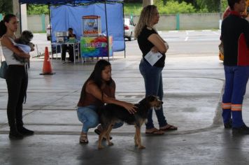 Foto - CAMPANHA DE CASTRAÇÃO 2024