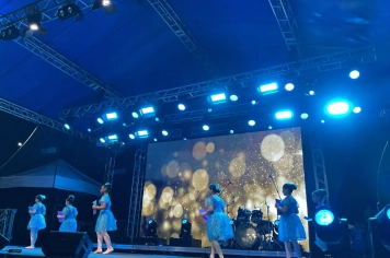 Foto - Espetáculo Ballet Arabesco 