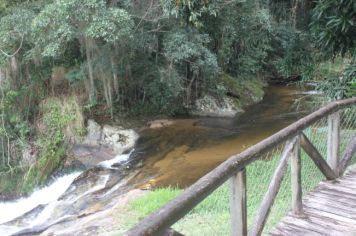 Foto - De Férias no Parque no Bairro Capelinha