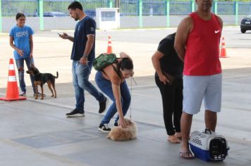 Foto - CAMPANHA DE CASTRAÇÃO 2024