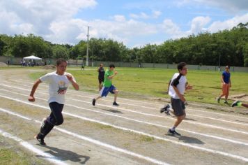 Foto - Torneio de Atletismo entres as APAES do Vale do Ribeira