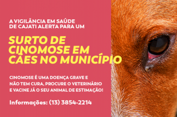 Vigilância em Saúde alerta sobre o surto de cinomose canina em Cajati
