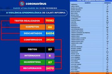Números da COVID-19 em Cajati