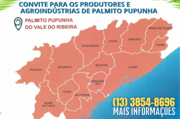 Produtores e agroindústrias de Palmito Pupunha de Cajati estão convocados para o preenchimento do formulário de produção de Indicação Geográfica