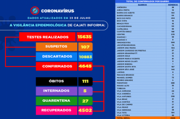 Números da COVID-19 em Cajati