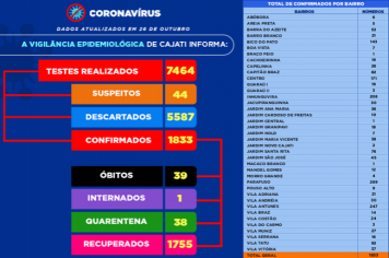 Números da COVID-19 em Cajati