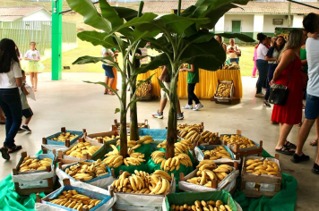 CAJATI, 33 ANOS - FESTA DA BANANA - SABORES E SABERES
