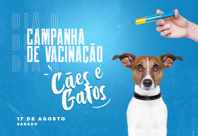 O Dia D da Campanha de Vacinação para cães e gatos será no próximo sábado, 17 de agosto