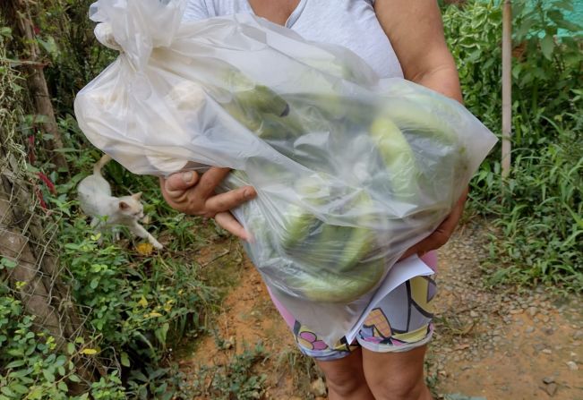 Departamento Social e Associação de agricultores inicia projeto alimentar em Cajati