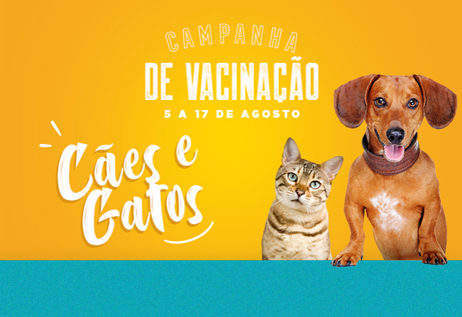 Campanha de Vacinação para Cães e Gatos inicia na próxima segunda-feira