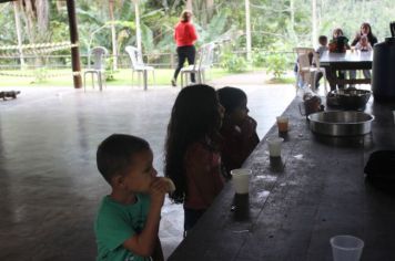 Foto - De Férias no Parque no Bairro Capelinha