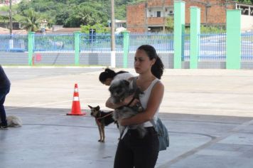 Foto - CAMPANHA DE CASTRAÇÃO 2024