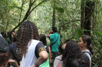 Foto - De Férias no Parque no Bairro Capelinha