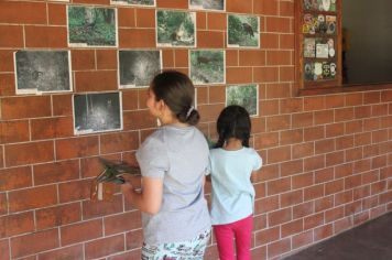 Foto - De Férias no Parque no Bairro Capelinha