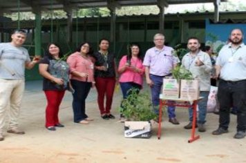 Foto - Dia da Árvore