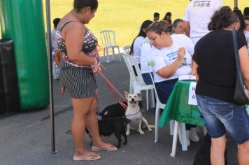 Foto - CAMPANHA DE CASTRAÇÃO 2023