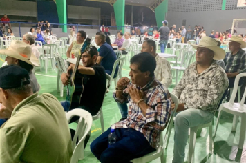 Foto - Festival de Violeiros 