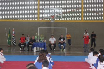 Foto - Festival de Judô Sensei Bete Bicas 