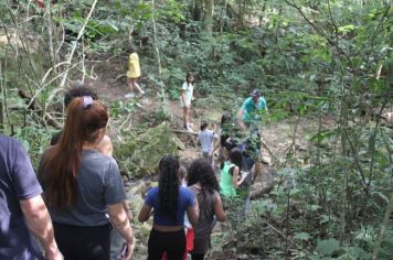 Foto - De Férias no Parque no Bairro Capelinha