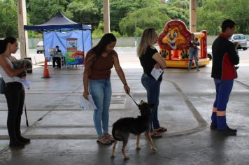 Foto - CAMPANHA DE CASTRAÇÃO 2024