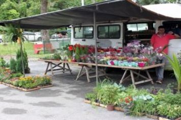 Foto - Feira Livre de Cajati em novo local