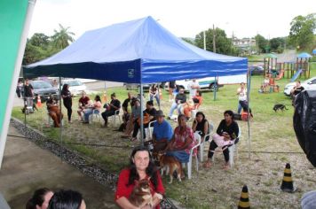 Foto - CAMPANHA DE CASTRAÇÃO 2024