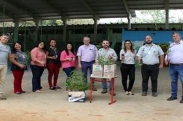 Foto - Dia da Árvore