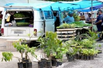 Foto - Feira Livre de Cajati em novo local