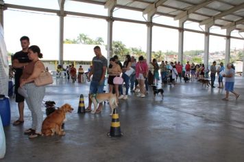 Foto - CAMPANHA DE CASTRAÇÃO 2024