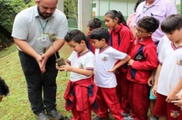 Foto - Dia da Árvore