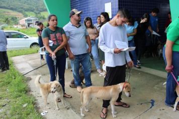 Foto - CAMPANHA DE CASTRAÇÃO 2024