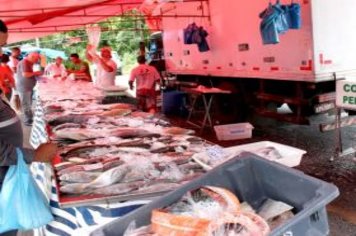 Foto - Feira Livre de Cajati em novo local