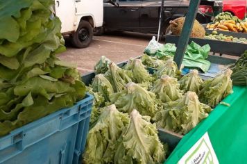 Foto - Feira do Empreendedor em Cajati