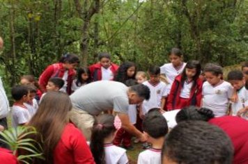 Foto - Dia da Árvore