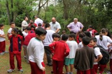 Foto - Dia da Árvore