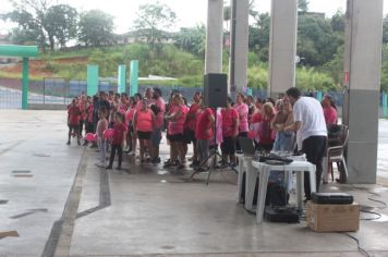 Foto - CIRCUITO ROSA-OCTO GAME