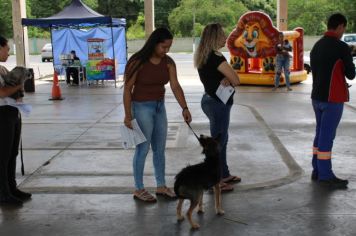 Foto - CAMPANHA DE CASTRAÇÃO 2024