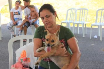 Foto - CAMPANHA DE CASTRAÇÃO 2023