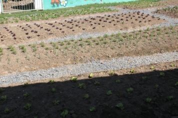 Foto - Visitação nas escolas do Projeto Alavancas