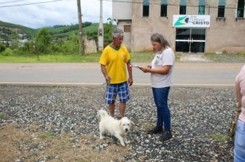 Foto - Campanha de Castração 2023