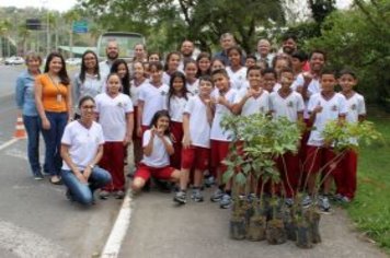 Dia da árvore é comemorado com ações durante a semana em Cajati